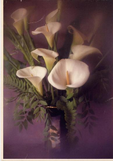 fleur.jpg